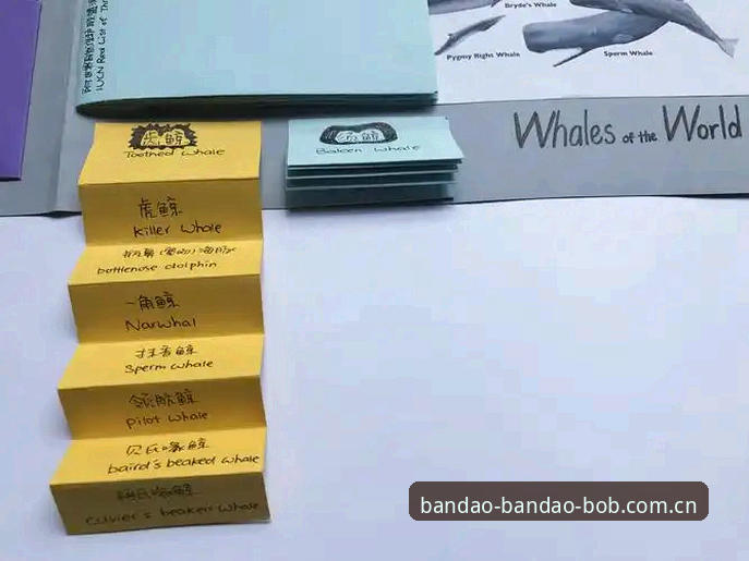 BODOG赛事数据哪个好 揭秘BODOG赛事数据哪个好?新手必看的深度评估与实战指南