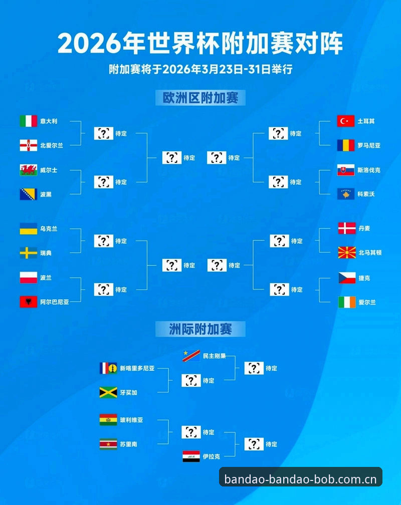 BODOG中国首页 世界杯观赛冷场背后:签证与地缘政治全面解析,半岛bob平台用户如何应对观赛困境