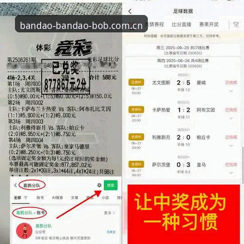 半岛bob平台最新BODOG实时查询完整指南：解锁赛事数据新维度